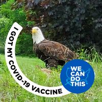 lmpashley71's Avatar