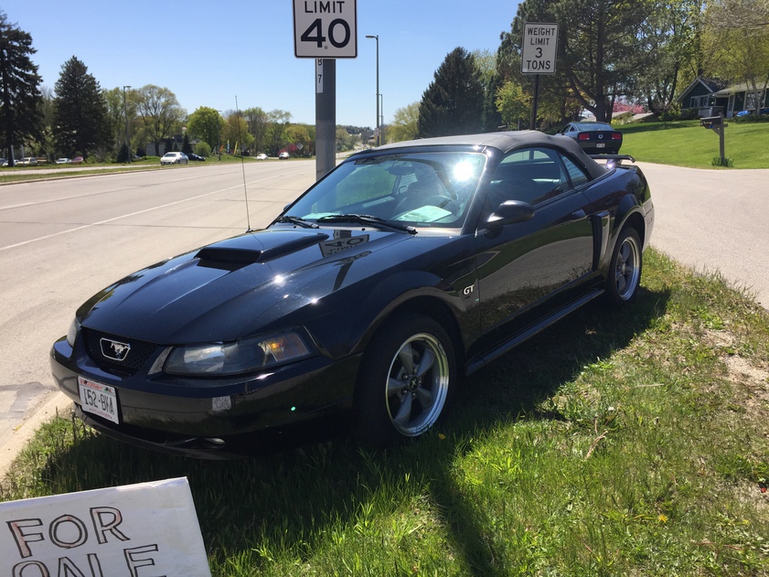 Accompanying image for Build Blog: 2002 Ford Mustang GT convertible